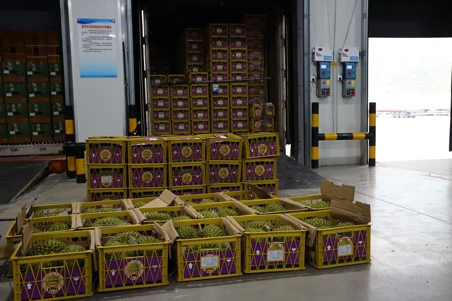 Durians imported from Thailand and Vietnam, clearing customs at Tianbao Port in Malipo. (Photo provided by interviewee)