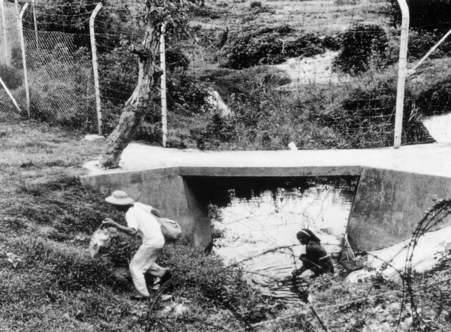 In 1962, refugees from Guangdong crossed the border into Hong Kong.