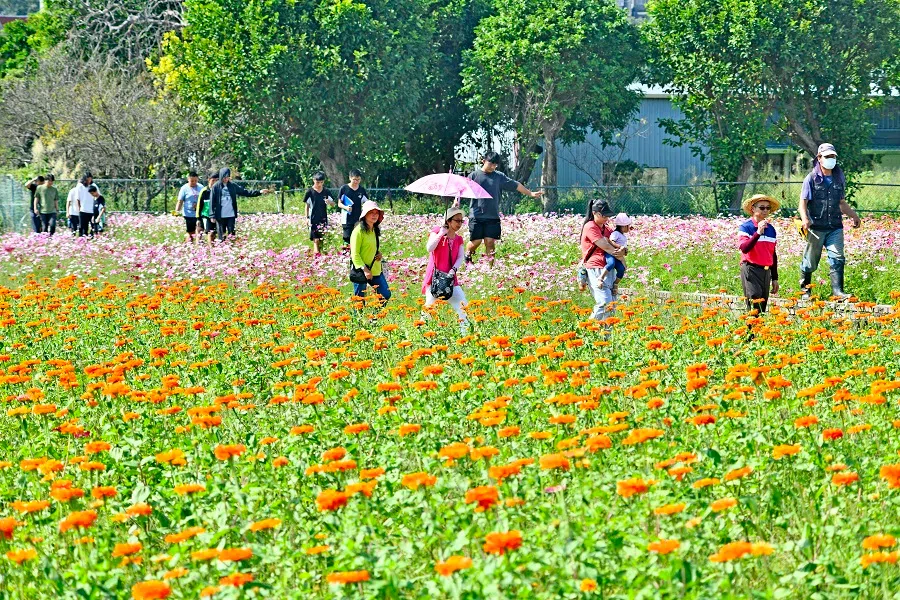 People at the Taoyuan Flower Festival in Taoyuan, Taiwan, on 11 November 2023. (CNS)