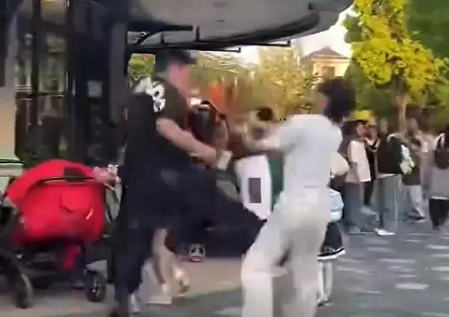 Two visitors at Shanghai Disneyland got into a fight over smoking in late April.