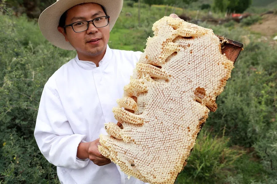 About ten years ago, Guizhou native Zhang Liangfu left his government job and started a venture in Shannan, Tibet, with 20 beehives, 29 July 2026.