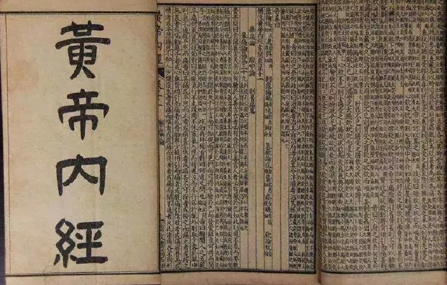 Yellow Emperor's Canon of Internal Medicine (《黄帝内经》, Huangdi Neijing). (Internet)