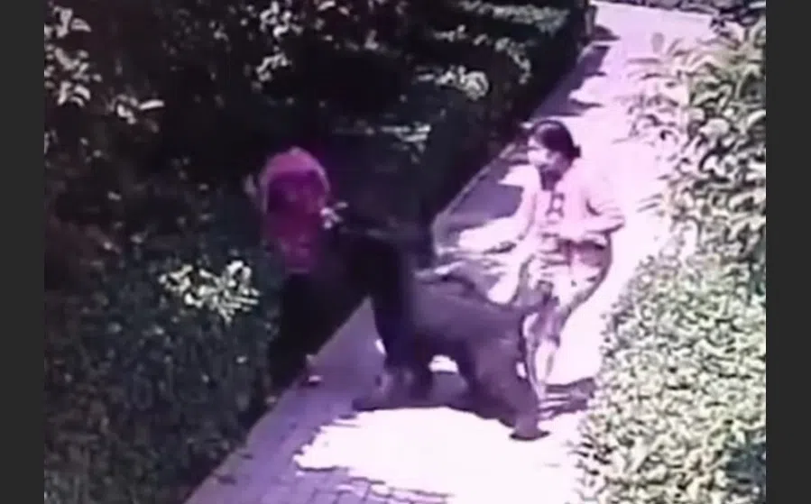 A screen grab from surveillance cameras in the residential compound showing the incident. (Internet)