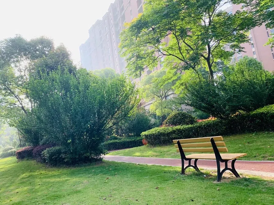 The neighbourhood around Li Jingnü's apartment in Shanghai. (Photo provided by interviewee)