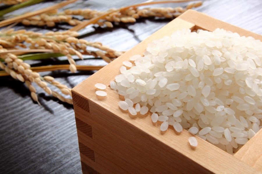 Rice is a staple food for many people. (iStock)