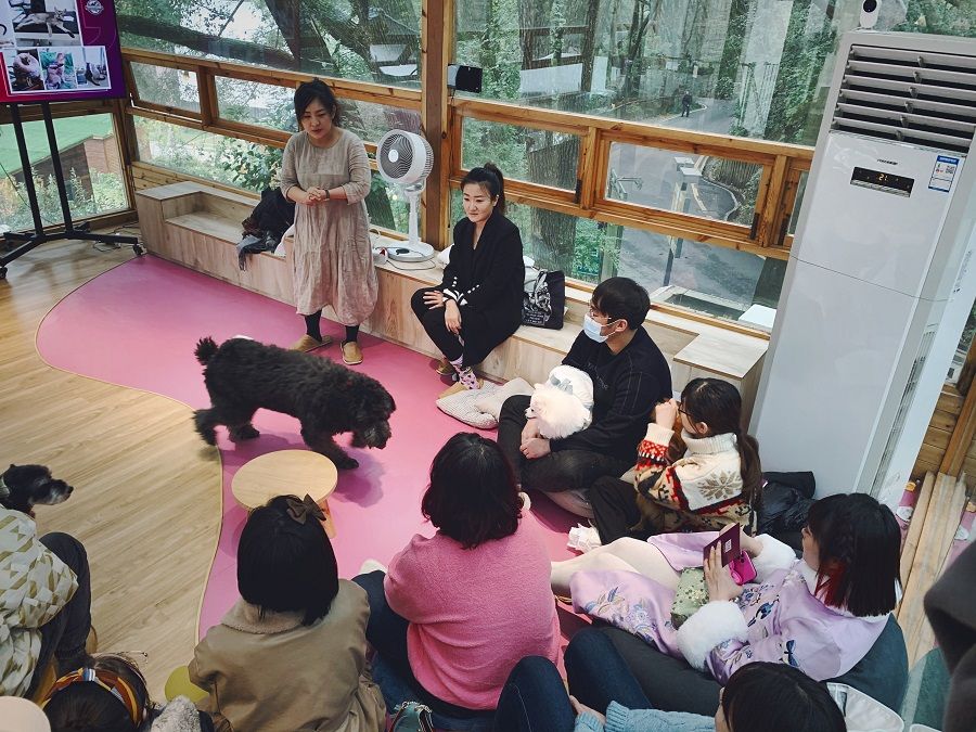 People attend a course conducted by the Asian Animal Communication Alliance. (Photo provided by interviewee)