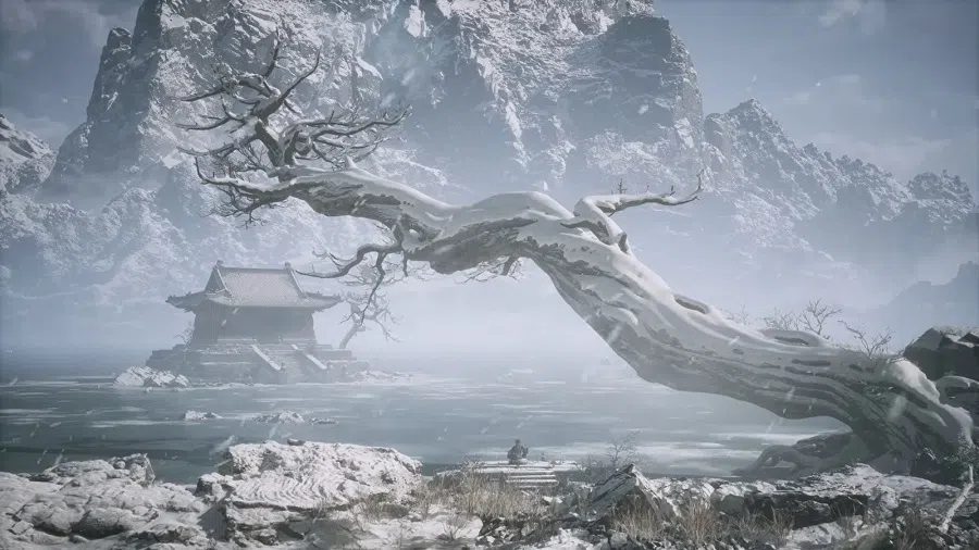 A screen capture from a trailer for Black Myth: Wukong, showing the graphics of the game. (Internet)