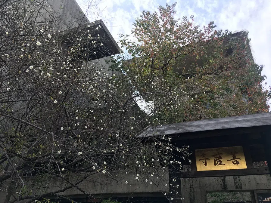 Taichung's International Bodhisattva Sangha. (Facebook/@ibs.tw - IBS 菩薩寺)