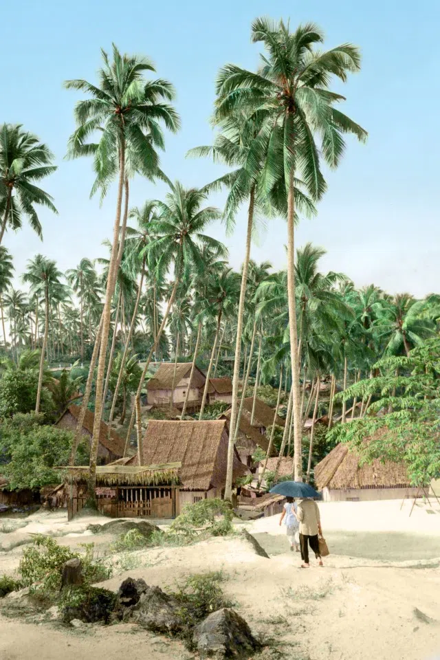 A fishing village by the sea in Singapore, 1950s, with traditional Malay stilt houses standing amid tall coconut trees.