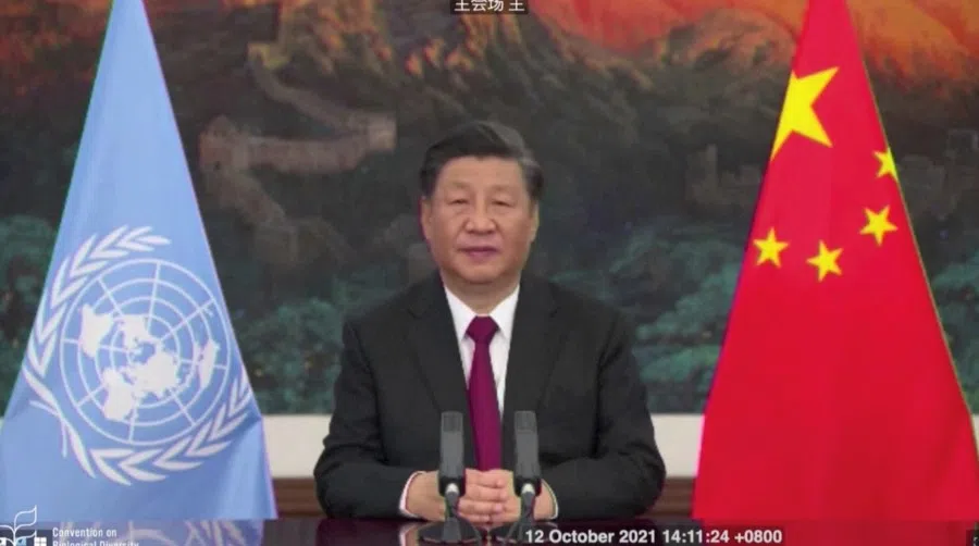 Chinese President Xi Jinping delivers a speech addressing the COP15 biodiversity summit in Kunming, China, 12 October 2021. (Secretariat of the Convention on Biological Diversity/Handout via Reuters)