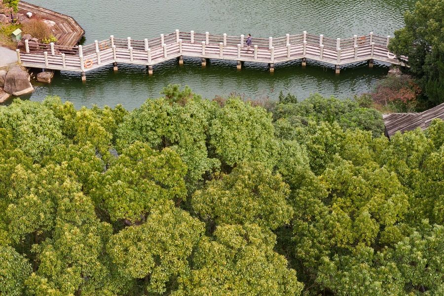 An aerial view of Baimajian Ecological Park, Suzhou, China, 28 November 2020. (CNS)