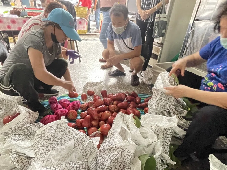 Mainland China has halted imports of sugar apples and wax apples from Taiwan due to checks that revealed pests on the fruits. (CNS)
