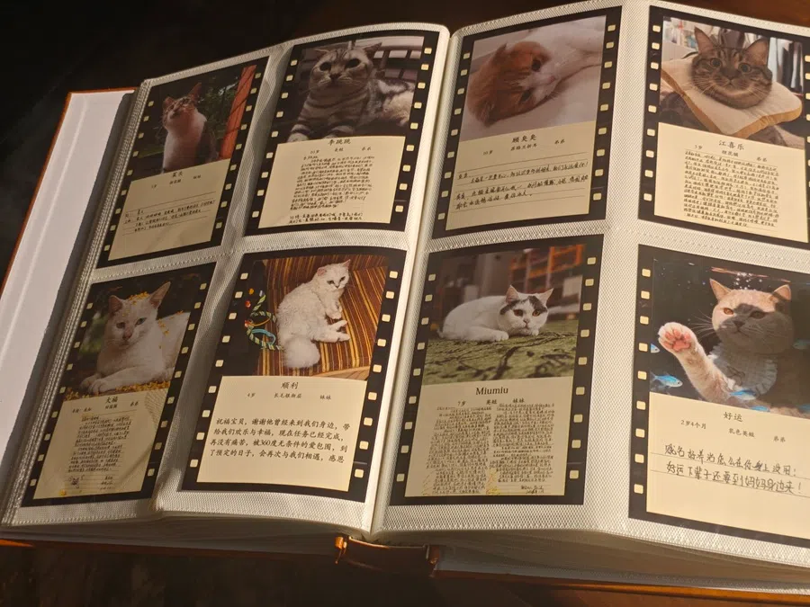 A commemorative album made by a pet end‑of‑life service provider. (Zeng Shi/SPH Media)