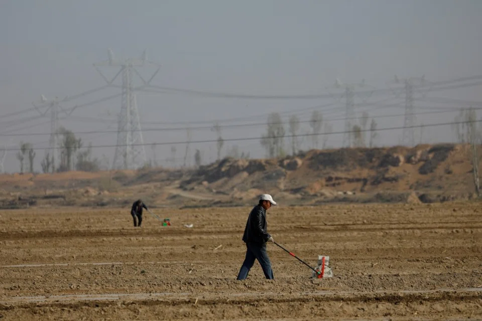 Workers use planters to plant corn seeds on the fields in a village on the outskirts of Wuwei, Gansu province, China, 14 April 2021. (Carlos Garcia Rawlins/Reuters)