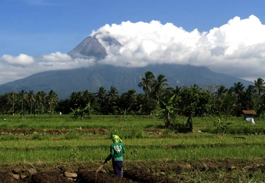 A farmer works on his field in Sleman, Yogyakarta, on 20 December 2022. (Devi Rahman/AFP)