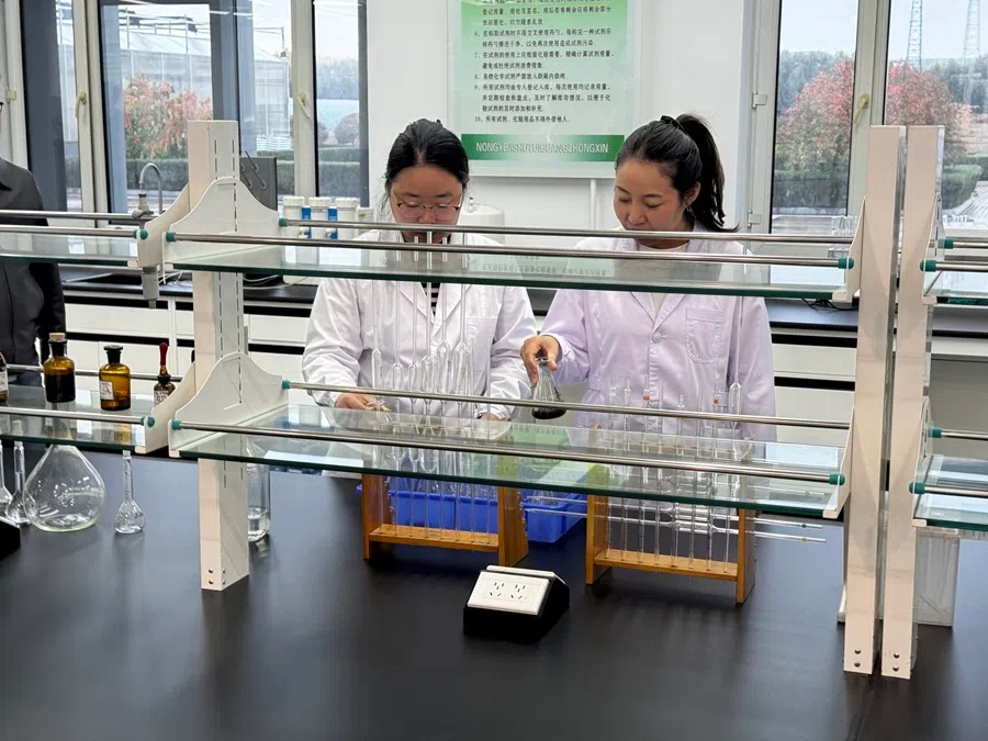 Researchers experimenting with soil samples at the Beidahuang Jiansanjiang National Agricultural Science and Technology Park on 29 September 2026.