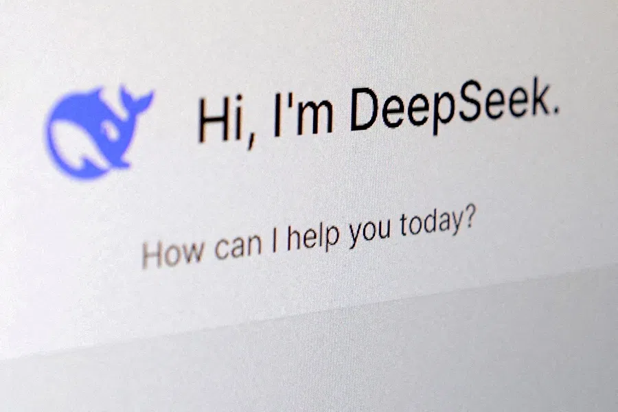 The DeepSeek app is seen in this illustration taken on 29 January 2025.