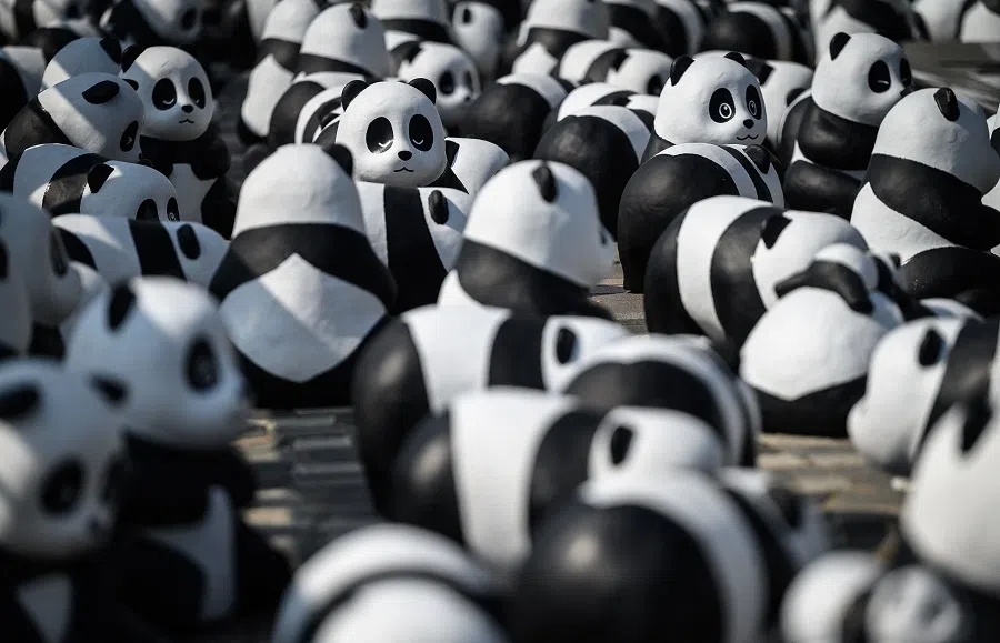 Panda sculptures are seen on display at the Avenue of Stars in Hong Kong on 7 December 2024. Some 2,500 panda sculptures are displayed as part of PANDA GO! FEST HK, the largest panda-themed exhibition in the city. (Mladen Antonov/AFP)