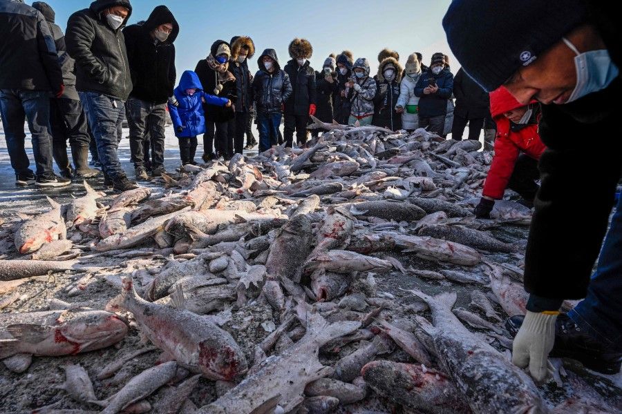 Local residents and tourists select and buy fish during the annual Chagan Lake Winter Fishing Festival in Songyuan, in northeast China's Jilin province on 28 December 2022. (Jade Gao/AFP)