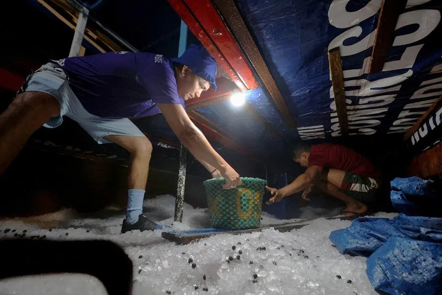 People handle Amazon acai berries in a cold room, at the Ver-o-Peso market, in Belem, Para state, Brazil, on 8 August 2025. (Anderson Coelho/Reuters)