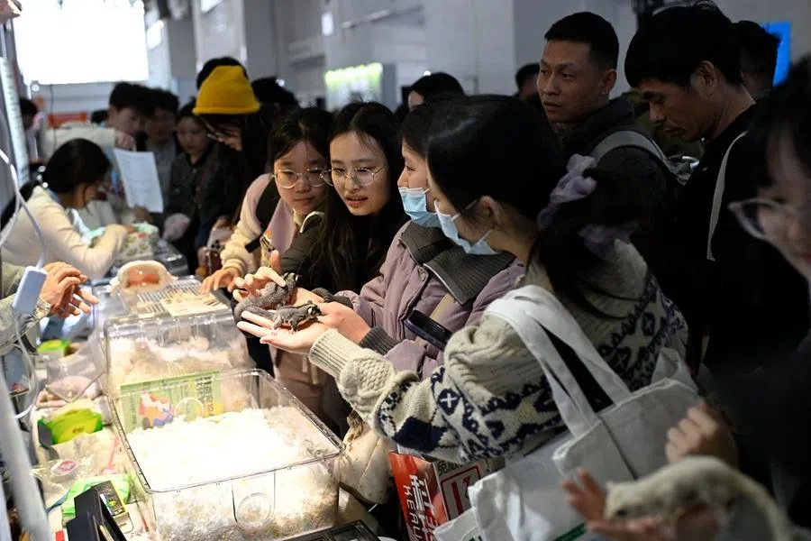 People visit a pet fair in Beijing on 19 March 2026.