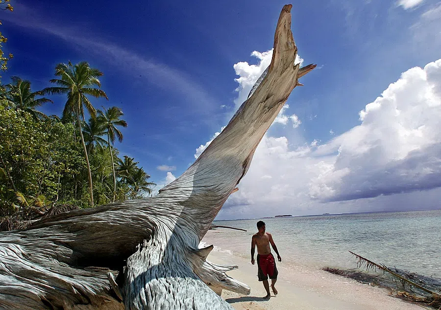 A man walks past a giant piece of driftwood on the shoreline of Tepuka Islet in Funafuti Atoll, Tuvalu, on 22 February 2004. (Torsten Blackwood/AFP)