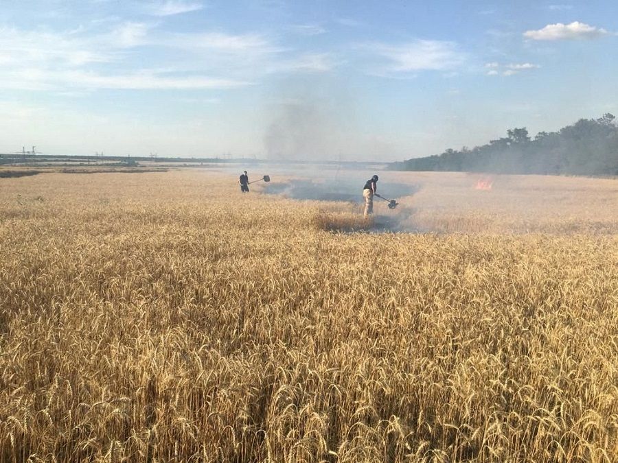 Firefighters work in a wheat field in Donetsk region, as Russia's attack on Ukraine continues, in Ukraine, in this handout picture released 31 July 2022. (Press service of the State Emergency Service of Ukraine/Handout via Reuters)