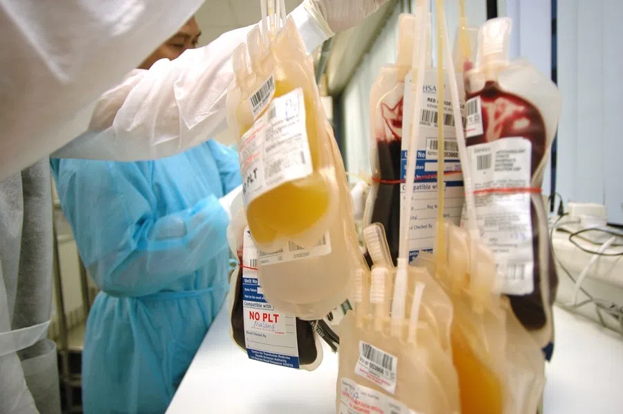 Bags of plasma and red blood cells. The US accounts for 70% of global plasma production.