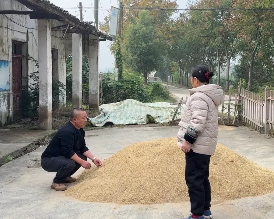 Xiong Xiaohong and his mother sun drying rice in front of their house. (Li Kang/SPH Media)