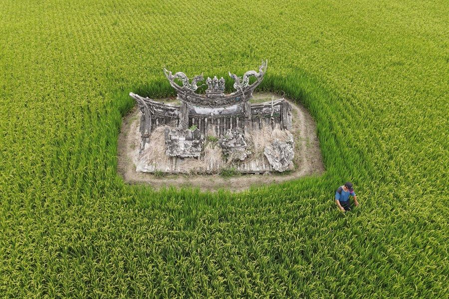 An aerial view shows a farmer sorting his rice field surrounding the relics of Wu Fu Taoist temple which sunk during flooding in 1959, in Chiayi, Taiwan, on 21 May 2022. (Sam Yeh/AFP)