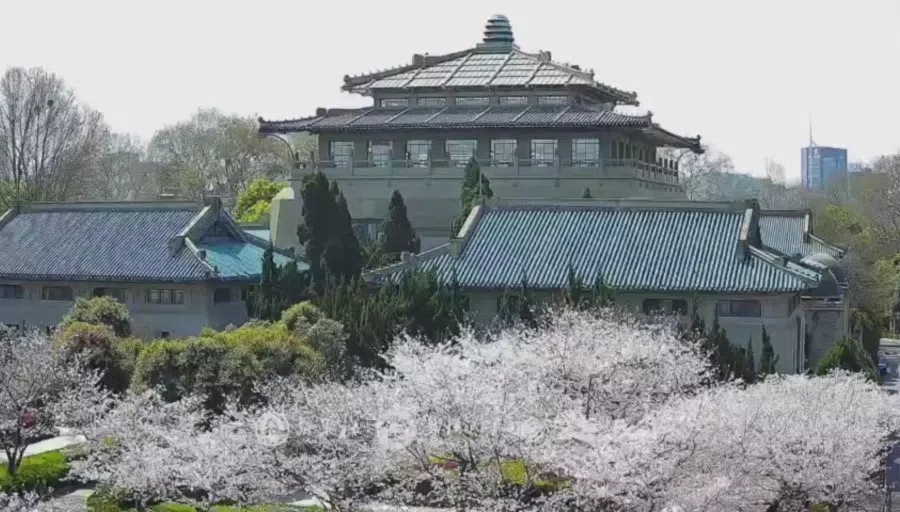 Screenshot of the live feed from Wuhan University.