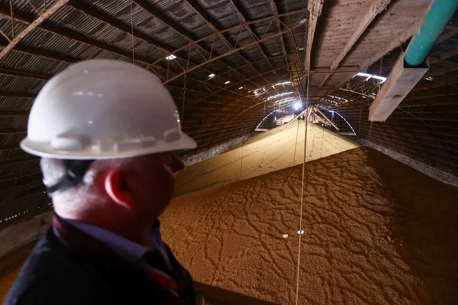 A farm worker looks at a full silo during the soybean harvest season in Brazil's southernmost state in Nao Me Toque, Rio Grande do Sul state, Brazil, 4 April 2025. (Diego Vara/Reuters)