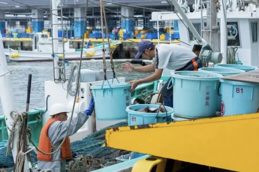 The fishing industry in Fukushima is gradually recovering following the earthquake in 2011. (Courtesy of Fukushima residents)