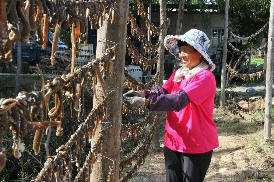 A woman is drying leeches at a village in Shanghe county, Jinan city, Shandong province, China on 24 August 2021. (CNS)
