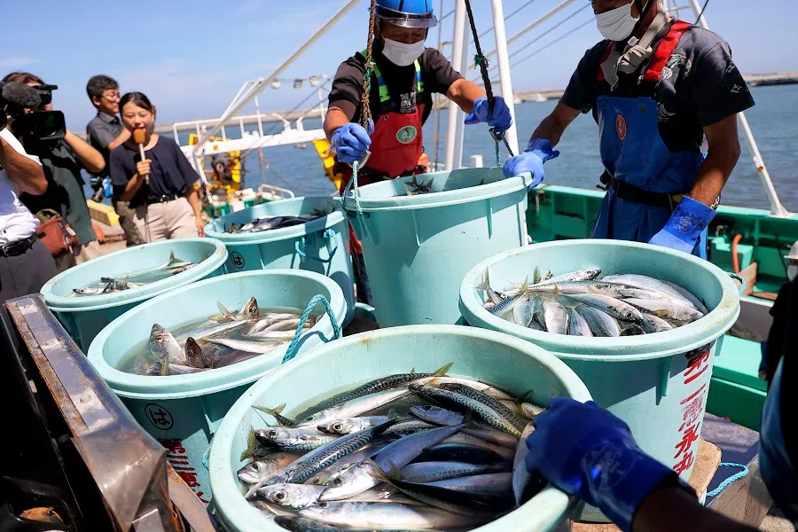 This file photo taken on 1 September 2023 shows fishery workers unloading seafood caught in offshore trawl fishing at the port of Matsukawaura in the city of Soma, Fukushima prefecture, about a week after the country began discharging treated wastewater from the TEPCO Fukushima Daiichi nuclear power plant. China on 20 September said it would “gradually resume” importing seafood from Japan after imposing a blanket ban in August last year over the release of water from the disabled Fukushima nuclear plant. (Jiji Press/AFP)