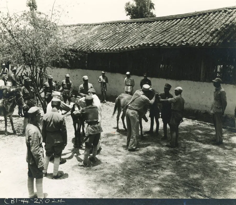 The photo which Ma Tinghui was identified (first from right).