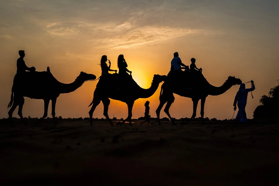 Tourists ride camels at a desert resort in Dubai at sunset on 19 October 2025. (Jewel Samad/AFP)