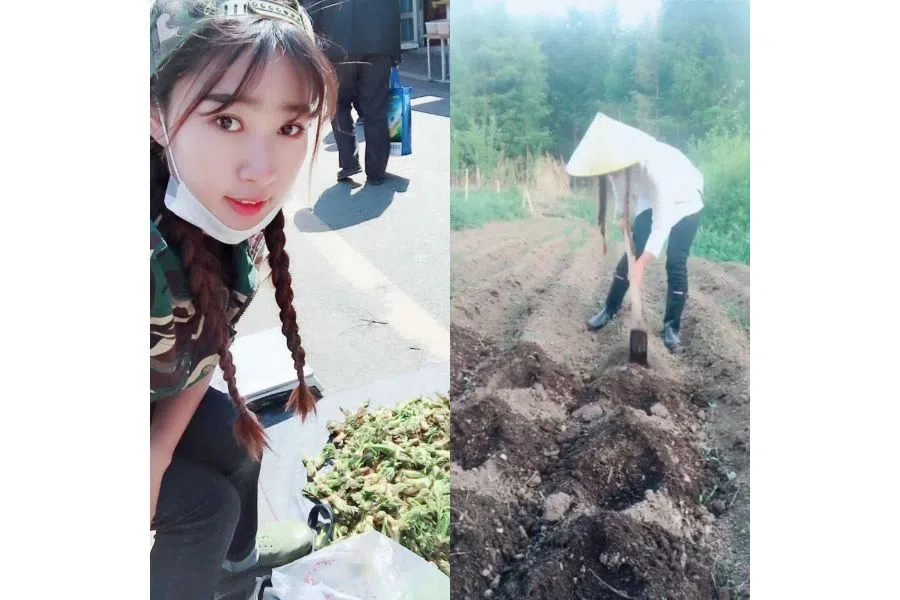 Besides live casts of her fishing, Yuting also shares videos of her working the land and planting vegetables. Yuting sells wild vegetables and local produce through video app Kuaishou, to supplement their income.