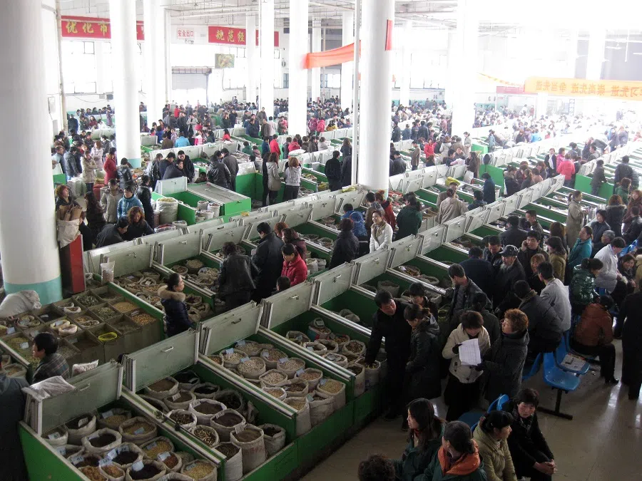 Buyers and sellers thronging the Central Trading Hall, the main distribution centre of traditional Chinese medicine (TCM) at Anguo, Hebei province, China, March 2011. (SPH Media)