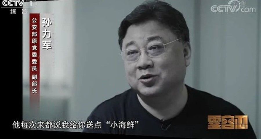 A screen grab from the documentary Zero Tolerance, featuring Sun Lijun. (Internet)