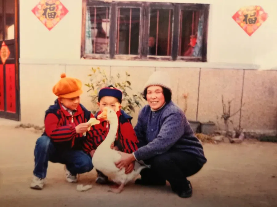 Up close with a goose at Grandma's.