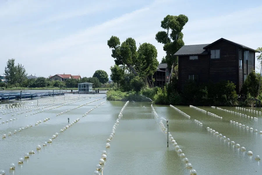 Nature plays a big part in Yucun. (CNS)