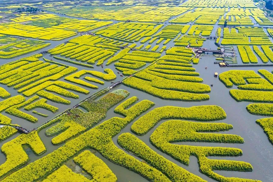 People view rapeseed flowers in a scenic area in Xinghua, in China’s eastern Jiangsu province on 2 April 2026. (CN-STR/AFP)