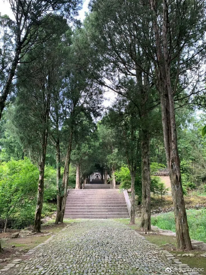 The trail leading up to Wang Xizhi's grave. (Weibo)