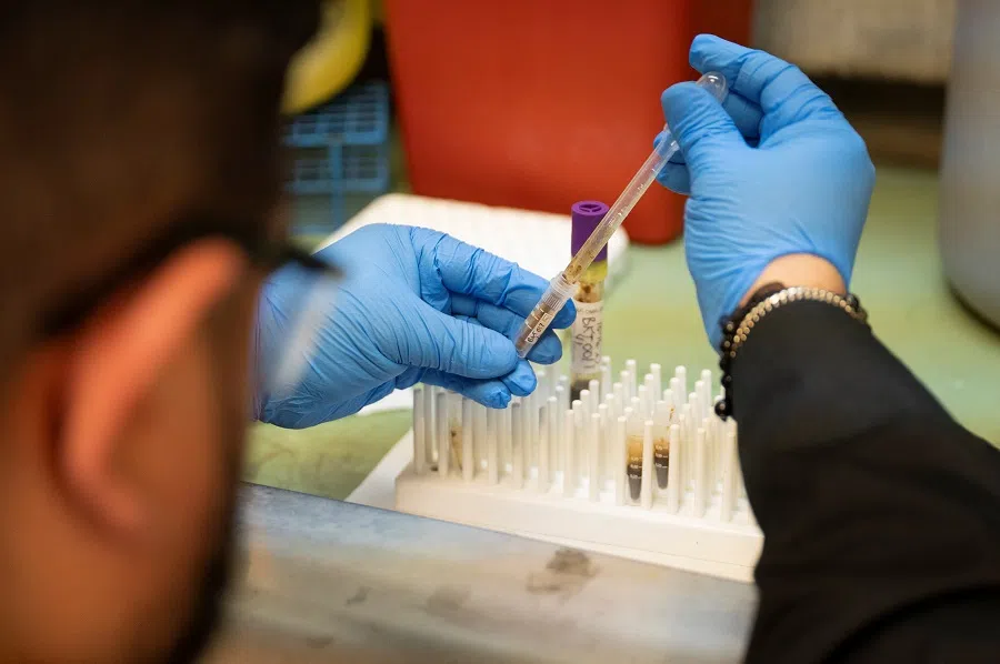 A researcher at the University of Illinois Chicago (UIC) College of Nursing processes a specimen at the UIC campus in Chicago, Illinois, US, on 28 February 2025. (Vincent Alban/Reuters)