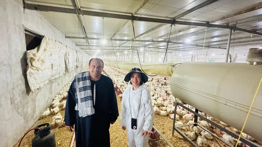 Liu Chang, during her visit to Egypt in 2024. (New Hope Liuhe)