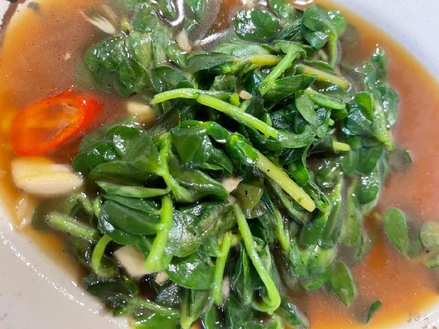 "Baochuan vegetable" dish stir-fried in sesame oil and chilli. (Facebook/蔣勳)