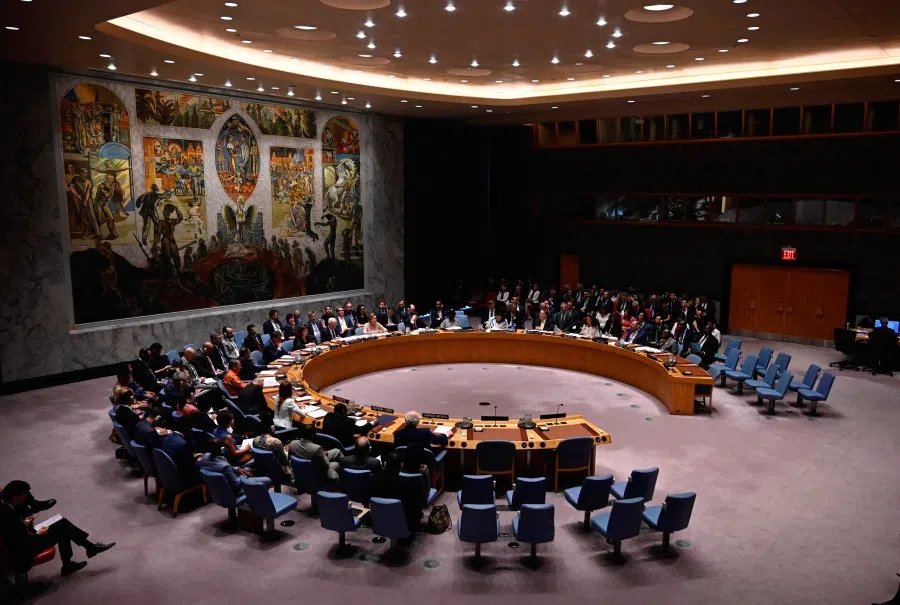 This file photo taken on 20 August 2019 shows a United Nations Security Council meeting at the United Nations in New York. (Johannes Eisele/AFP)