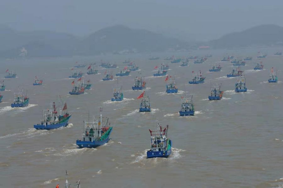 Shenjiamen fishing port. (Photo: Shu Jie, provided by Chen Nahui)