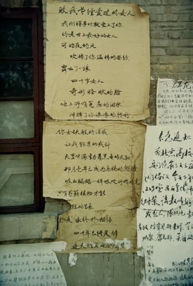 Handwritten posters displayed on the walls of a classroom at Peking University.